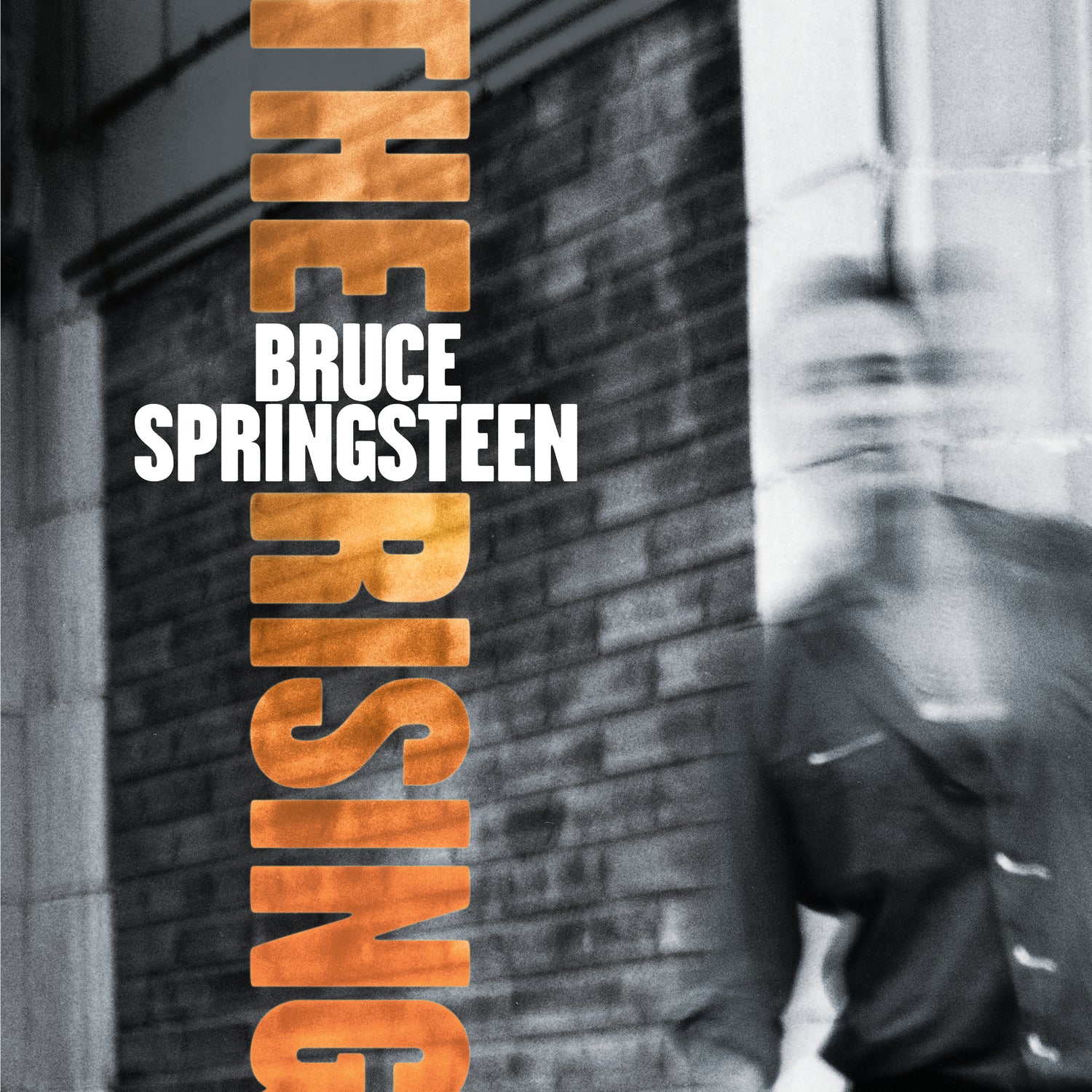 Bruce Springsteen The Rising Vinyl