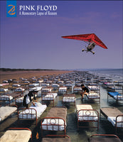 Pink Floyd A Momentary Lapse Of Reason: Remixed & Updated CD
