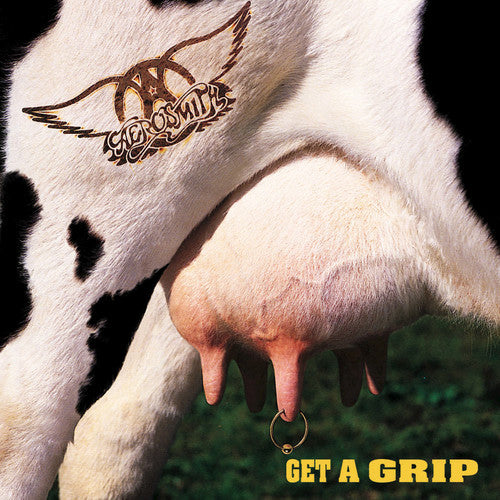 Aerosmith Aerosmith Get a Grip Vinyl