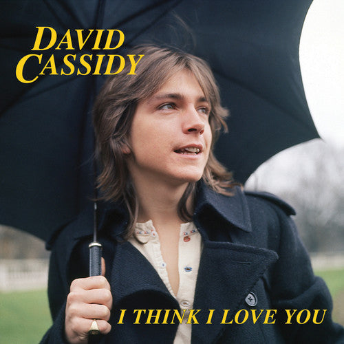 David Cassidy I Think I Love You Vinyl