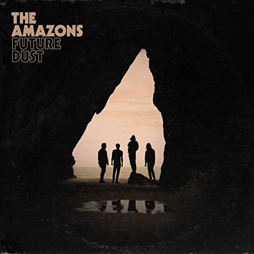 The Amazons Future Dust Vinyl