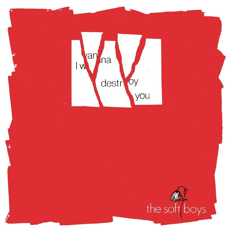 Soft Boys, The I Wanna Destroy You / Near The Soft Boys Vinyl