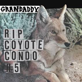 Grandaddy "RIP Coyote Condo #5" b/w " "The Fox in the Snow" & "In My Room" Vinyl