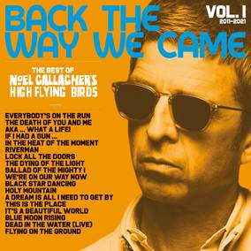 Noel Gallagher's High Flying Birds Back The Way We Came Vinyl