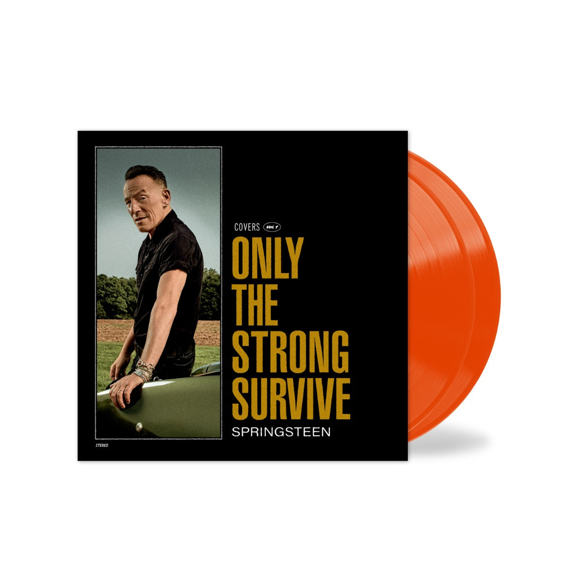 Bruce Springsteen Only The Strong Survive Vinyl