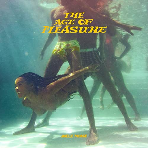 The Age of Pleasure (Indie Exclusive Gatefold on Orange Crush Vinyl)