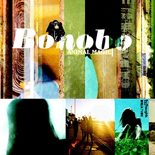 Bonobo Animal Magic Vinyl