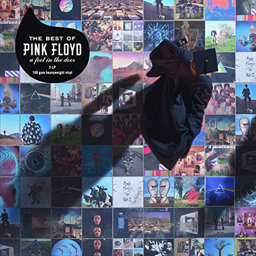 Pink Floyd A Foot In The Door Vinyl