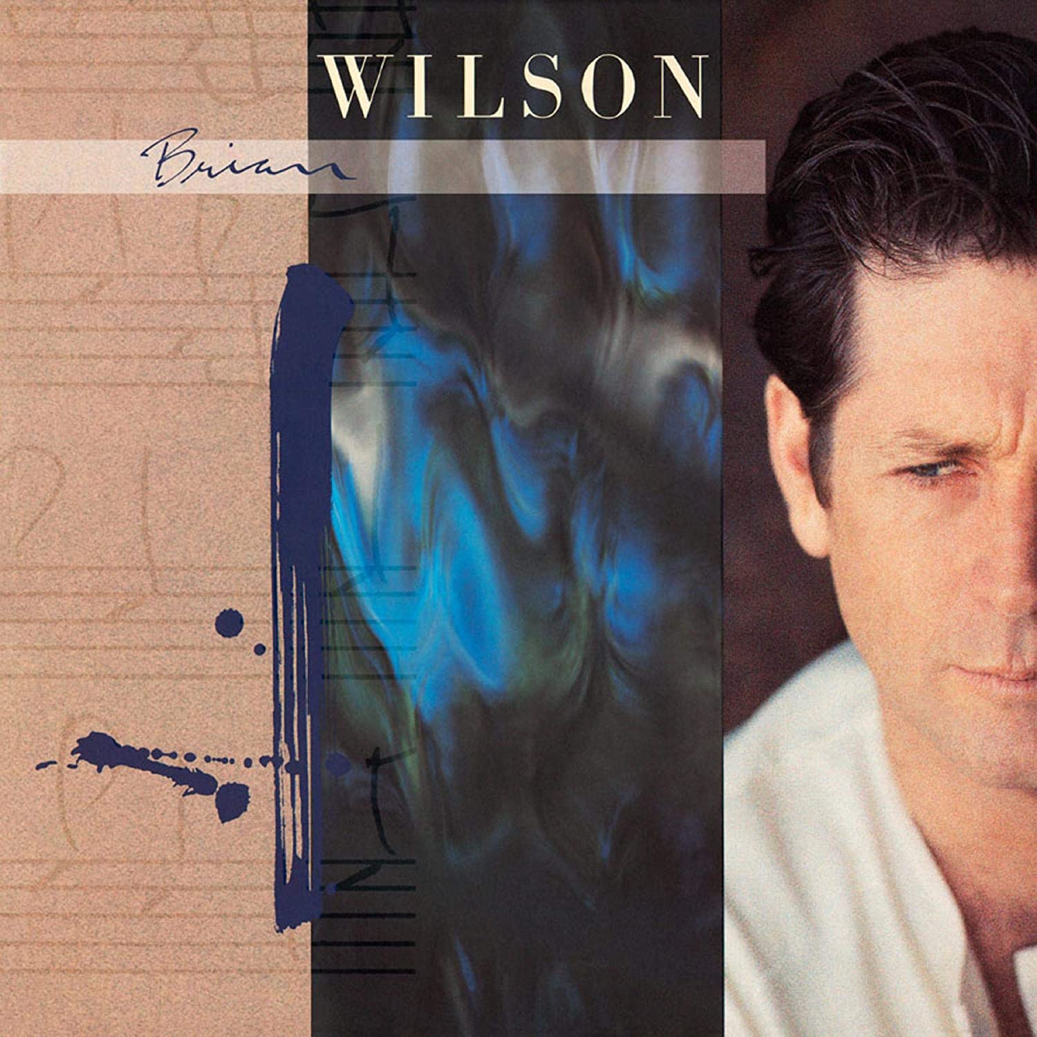 Brian Wilson Brian Wilson Vinyl