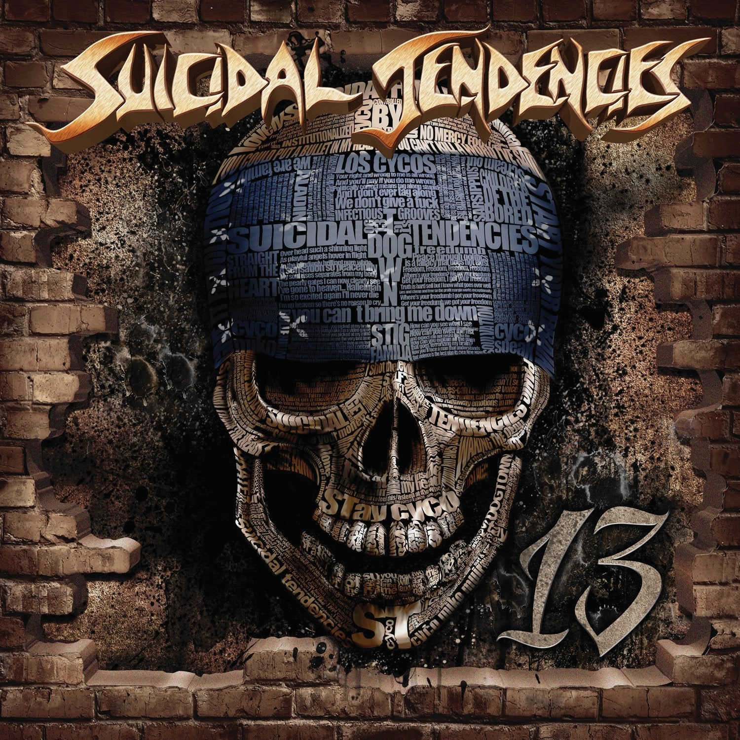 Suicidal Tendencies 13 Vinyl