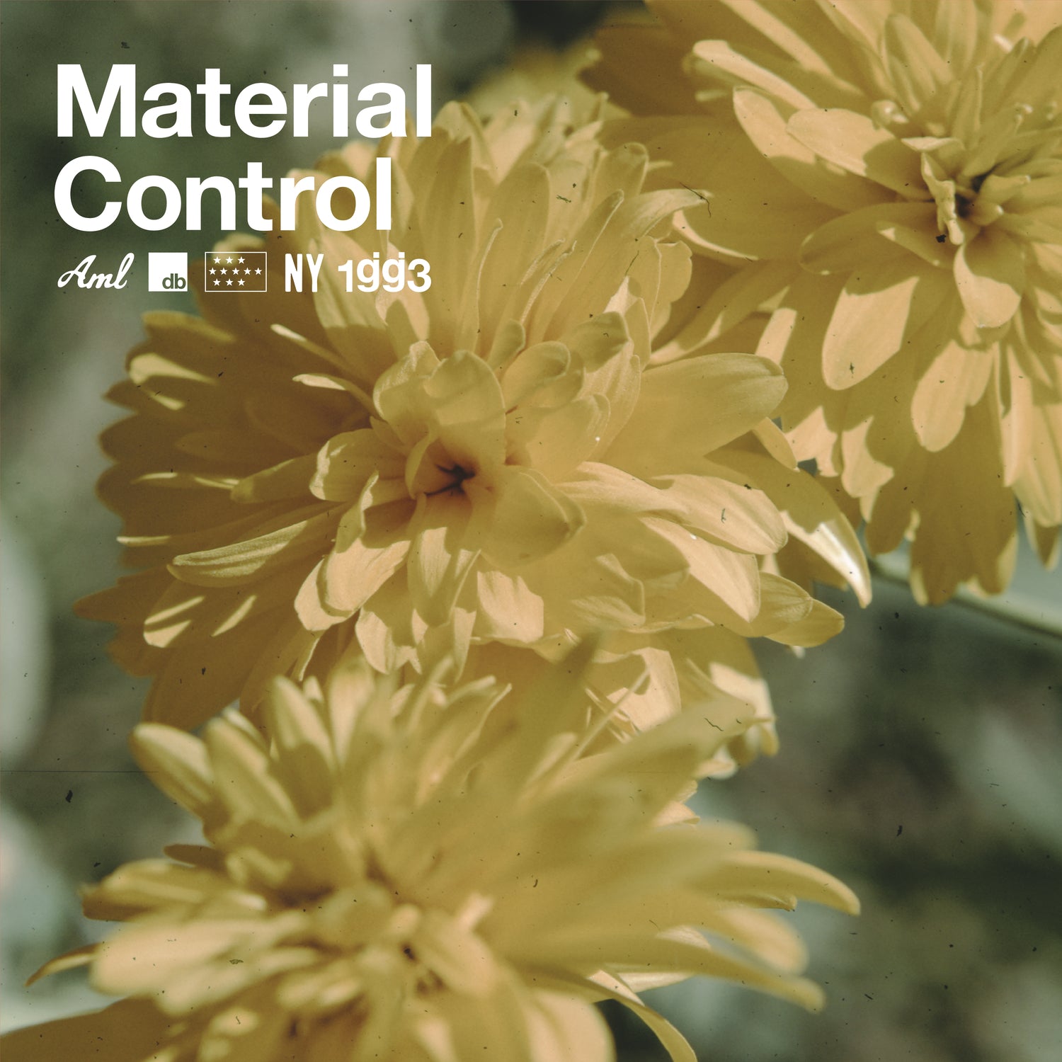Glassjaw MATERIAL CONTROL Vinyl