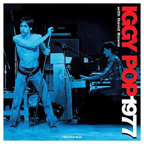Iggy Pop 1977 Vinyl
