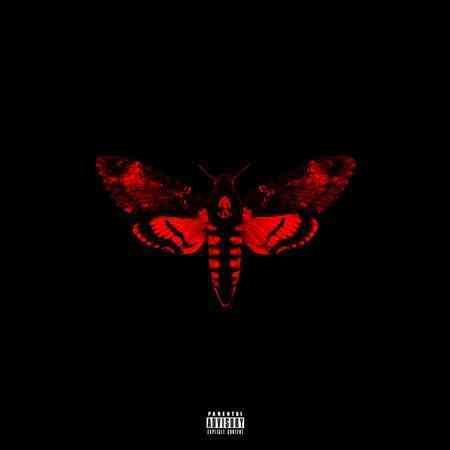 Lil Wayne I AM NOT A HU II CD