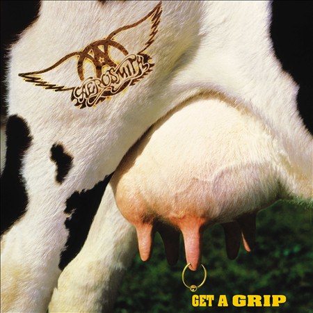 Aerosmith Get A Grip Vinyl