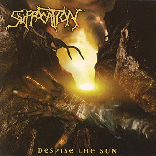 Suffocation Despise The Sun Vinyl
