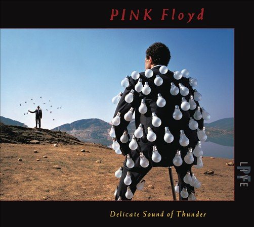 Pink Floyd Delicate Sound Of Thunder CD