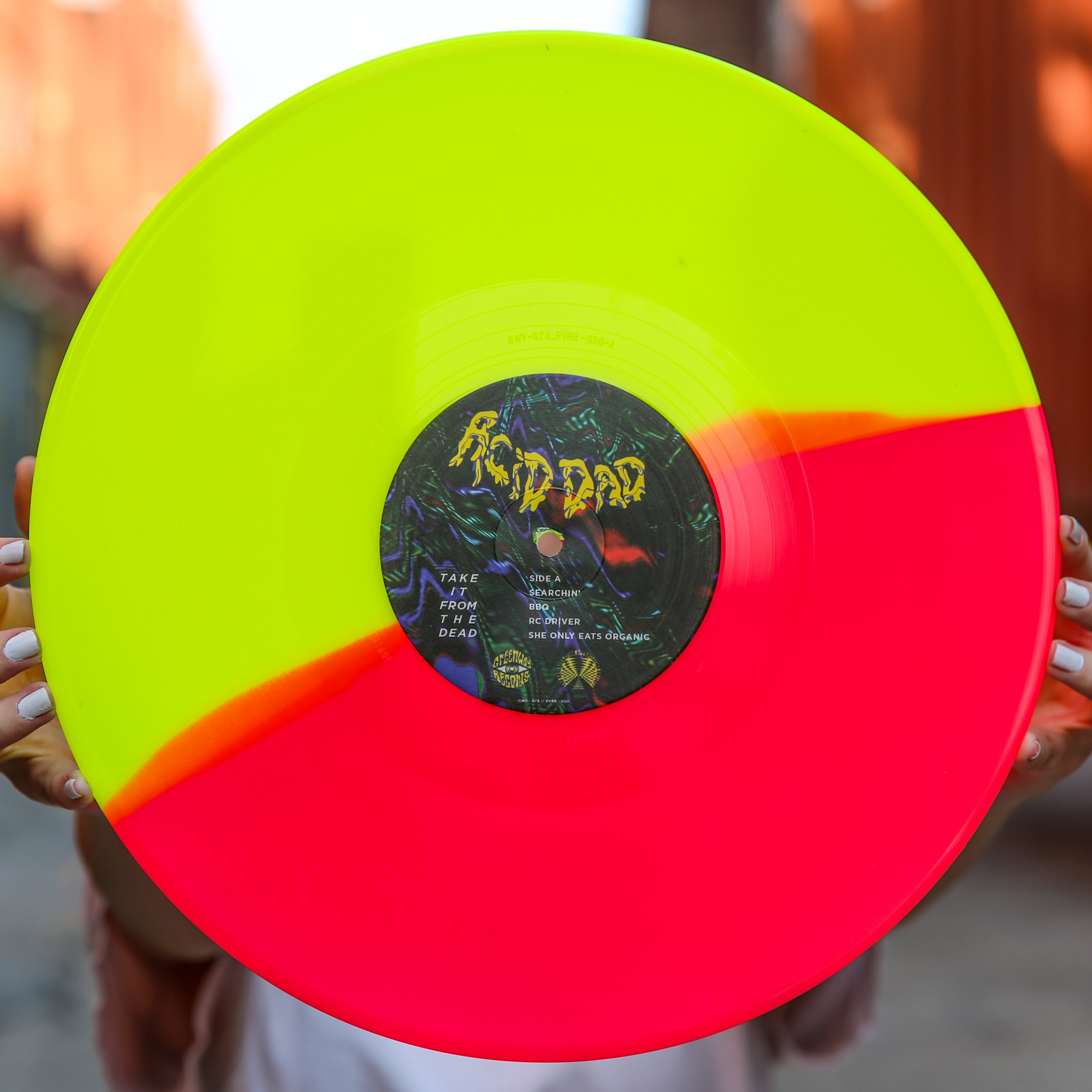 Acid Dad Take It From The Dead Vinyl